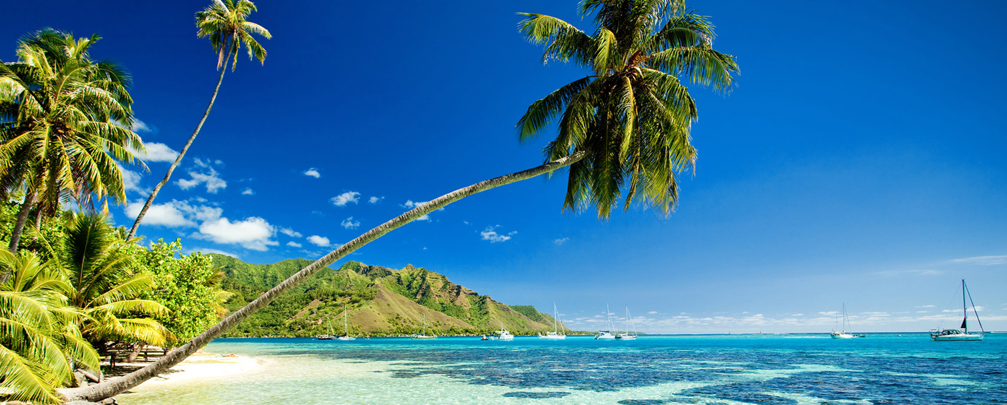 Karibik hier lässt sich lernen mit Urlaub verbinden